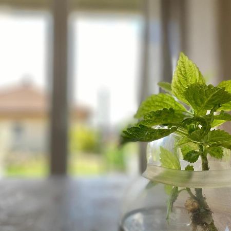 Apartmenthaus Luett Meer Ludorf Bagian luar foto